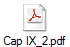 Cap IX_2.pdf