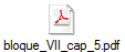 bloque_VII_cap_5.pdf