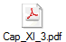 Cap_XI_3.pdf