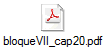 bloqueVII_cap20.pdf