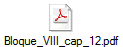 Bloque_VIII_cap_12.pdf