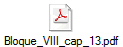 Bloque_VIII_cap_13.pdf