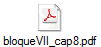 bloqueVII_cap8.pdf