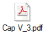 Cap V_3.pdf