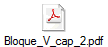 Bloque_V_cap_2.pdf