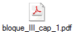 bloque_III_cap_1.pdf