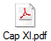 Cap XI.pdf
