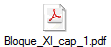 Bloque_XI_cap_1.pdf