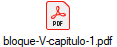 bloque-V-capitulo-1.pdf