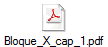 Bloque_X_cap_1.pdf