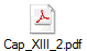 Cap_XIII_2.pdf