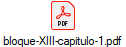bloque-XIII-capitulo-1.pdf
