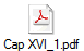 Cap XVI_1.pdf