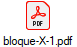 bloque-X-1.pdf