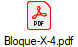 Bloque-X-4.pdf