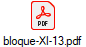 bloque-XI-13.pdf