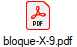 bloque-X-9.pdf