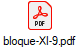 bloque-XI-9.pdf