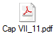 Cap VII_11.pdf