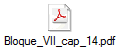 Bloque_VII_cap_14.pdf