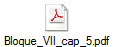 Bloque_VII_cap_5.pdf