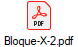 Bloque-X-2.pdf