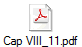 Cap VIII_11.pdf