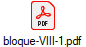 bloque-VIII-1.pdf