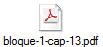 bloque-1-cap-13.pdf