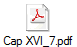 Cap XVI_7.pdf