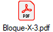 Bloque-X-3.pdf