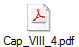 Cap_VIII_4.pdf
