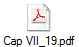 Cap VII_19.pdf