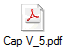 Cap V_5.pdf