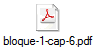 bloque-1-cap-6.pdf