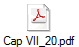 Cap VII_20.pdf