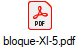 bloque-XI-5.pdf