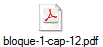 bloque-1-cap-12.pdf