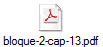 bloque-2-cap-13.pdf