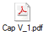 Cap V_1.pdf