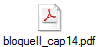 bloqueII_cap14.pdf
