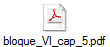 bloque_VI_cap_5.pdf