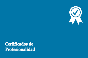 &copy;Ayto.Granada: botones de Pr�cticas Profesionales no Laborales