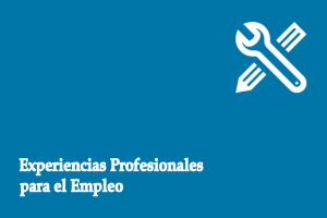 &copy;Ayto.Granada: botones de Pr�cticas Profesionales no Laborales