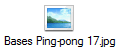 Bases Ping-pong 17.jpg
