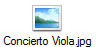 Concierto Viola.jpg