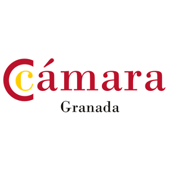 &copy;Ayto.Granada: C�mara de comercio