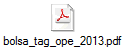 bolsa_tag_ope_2013.pdf