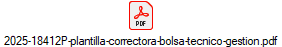 2025-18412P-plantilla-correctora-bolsa-tecnico-gestion.pdf