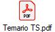 Temario TS.pdf